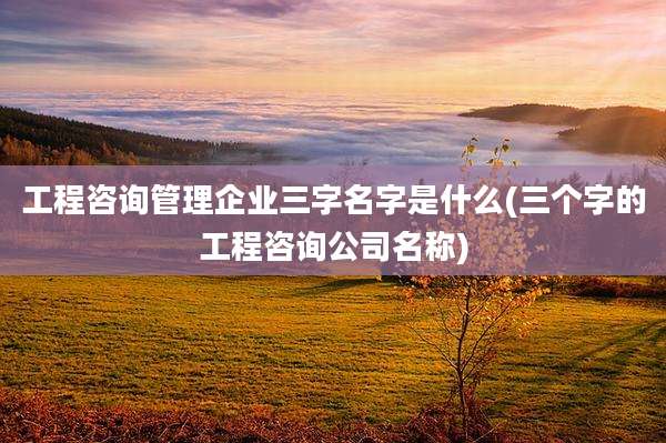 工程咨询管理企业三字名字是什么(三个字的工程咨询公司名称)