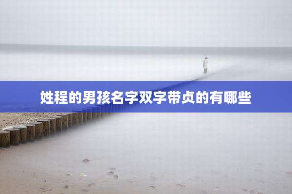 姓程的男孩名字双字带贞的有哪些