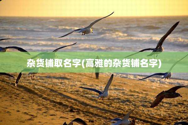 杂货铺取名字(高雅的杂货铺名字)