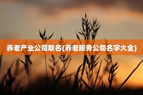 养老产业公司取名(养老服务公司名字大全)
