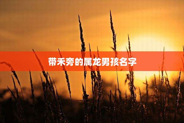 带禾旁的属龙男孩名字