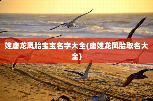 姓唐龙凤胎宝宝名字大全(唐姓龙凤胎取名大全)