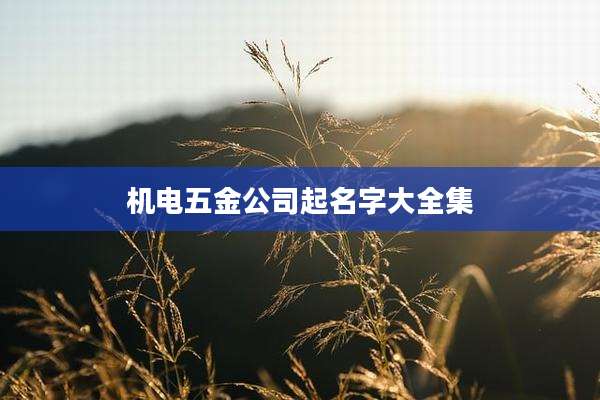机电五金公司起名字大全集