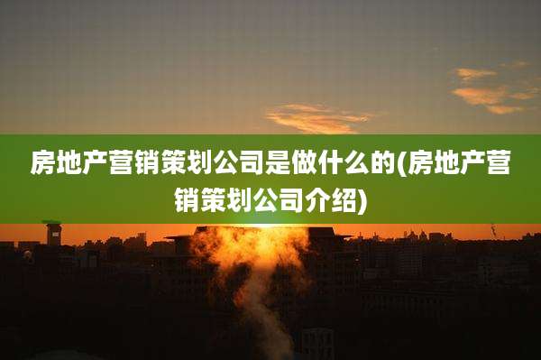 房地产营销策划公司是做什么的(房地产营销策划公司介绍)