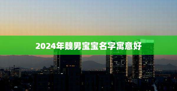 2024年魏男宝宝名字寓意好