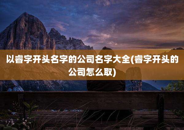 以睿字开头名字的公司名字大全(睿字开头的公司怎么取)
