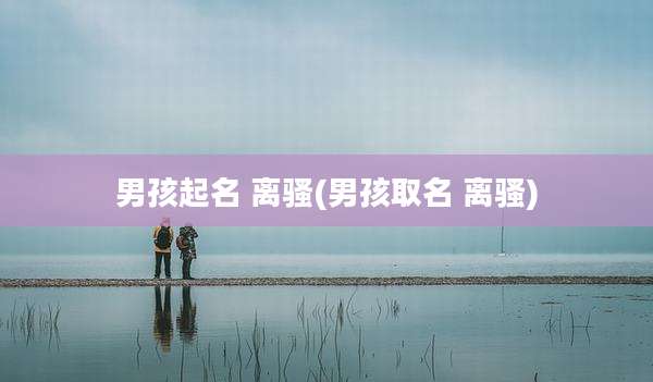 男孩起名 离骚(男孩取名 离骚)