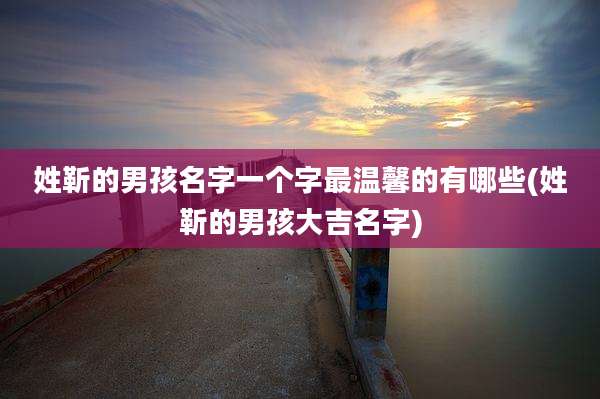 姓靳的男孩名字一个字最温馨的有哪些(姓靳的男孩大吉名字)