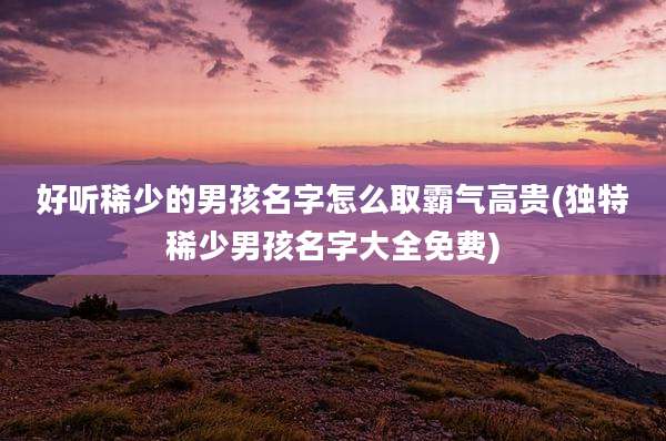 好听稀少的男孩名字怎么取霸气高贵(独特稀少男孩名字大全免费)