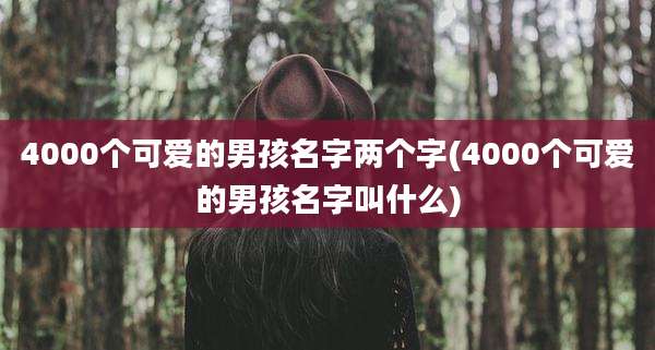 4000个可爱的男孩名字两个字(4000个可爱的男孩名字叫什么)