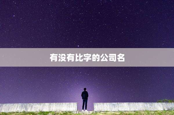 有没有比字的公司名