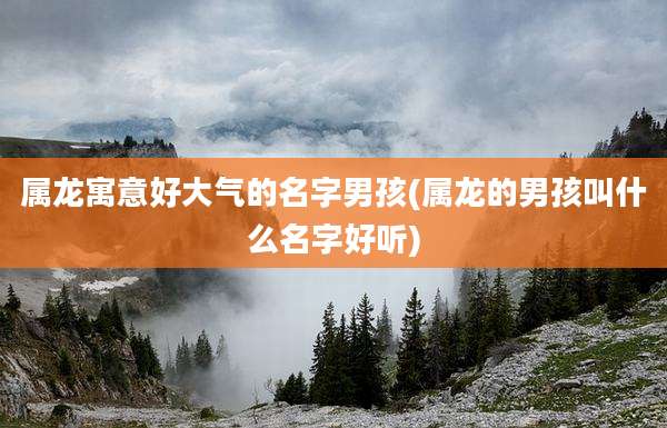 属龙寓意好大气的名字男孩(属龙的男孩叫什么名字好听)