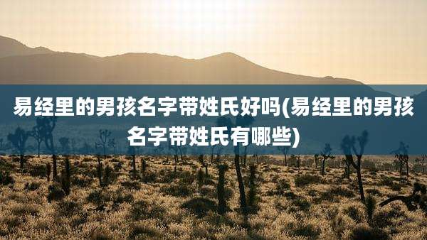 易经里的男孩名字带姓氏好吗(易经里的男孩名字带姓氏有哪些)