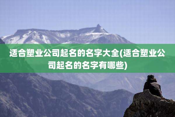 适合塑业公司起名的名字大全(适合塑业公司起名的名字有哪些)
