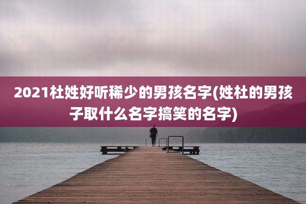2021杜姓好听稀少的男孩名字(姓杜的男孩子取什么名字搞笑的名字)