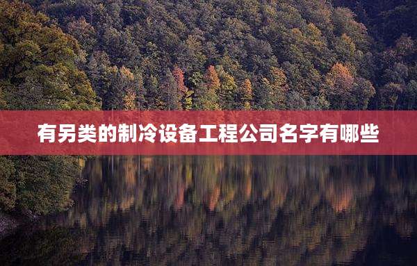 有另类的制冷设备工程公司名字有哪些