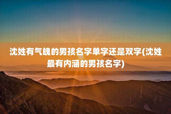 沈姓有气魄的男孩名字单字还是双字(沈姓最有内涵的男孩名字)