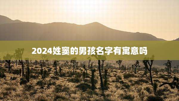 2024姓窦的男孩名字有寓意吗