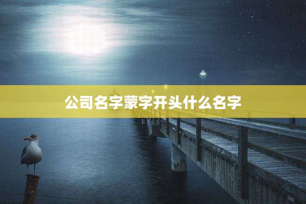 公司名字蒙字开头什么名字