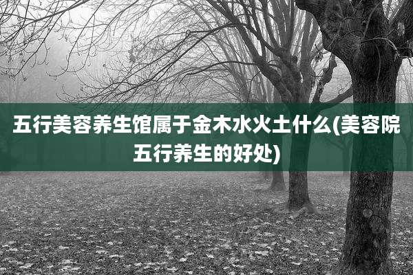 五行美容养生馆属于金木水火土什么(美容院五行养生的好处)