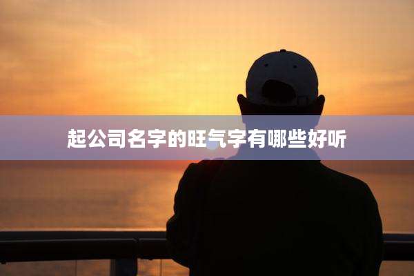 起公司名字的旺气字有哪些好听