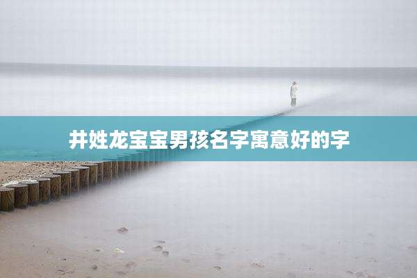 井姓龙宝宝男孩名字寓意好的字