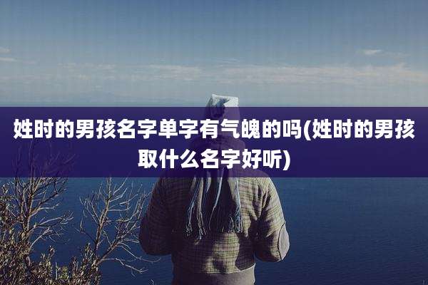 姓时的男孩名字单字有气魄的吗(姓时的男孩取什么名字好听)