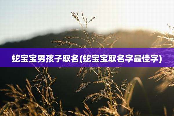 蛇宝宝男孩子取名(蛇宝宝取名字最佳字)