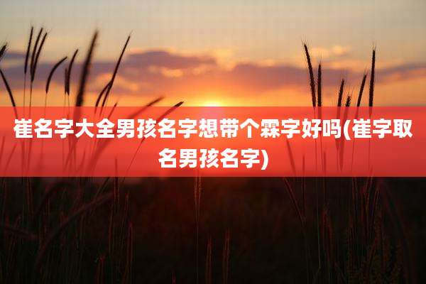 崔名字大全男孩名字想带个霖字好吗(崔字取名男孩名字)
