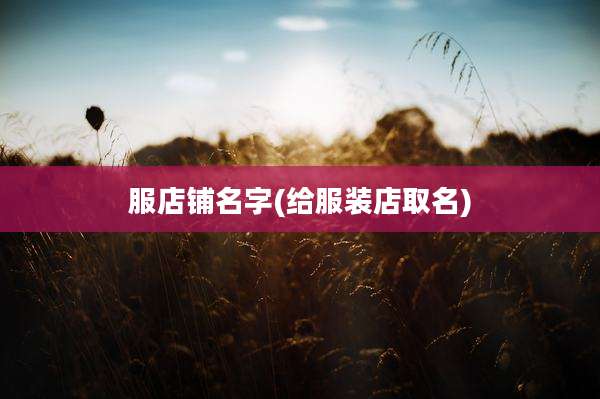 服店铺名字(给服装店取名)