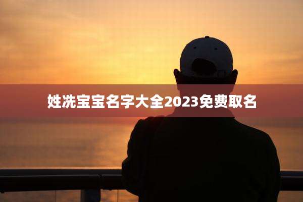 姓冼宝宝名字大全2023免费取名