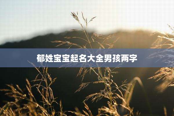 郁姓宝宝起名大全男孩两字