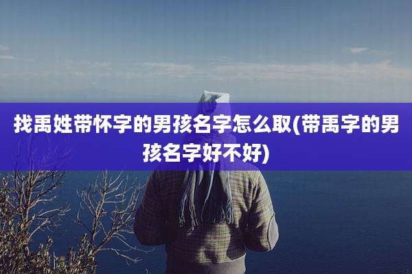 找禹姓带怀字的男孩名字怎么取(带禹字的男孩名字好不好)