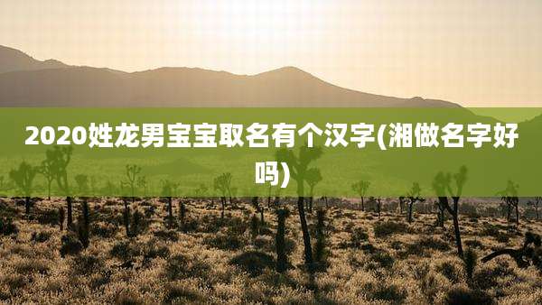 2020姓龙男宝宝取名有个汉字(湘做名字好吗)