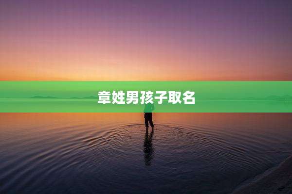 章姓男孩子取名