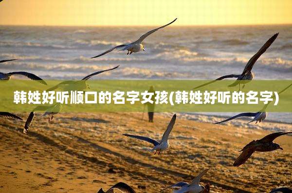 韩姓好听顺口的名字女孩(韩姓好听的名字)