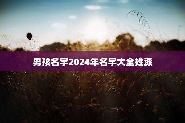 男孩名字2024年名字大全姓漆