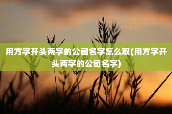 用方字开头两字的公司名字怎么取(用方字开头两字的公司名字)