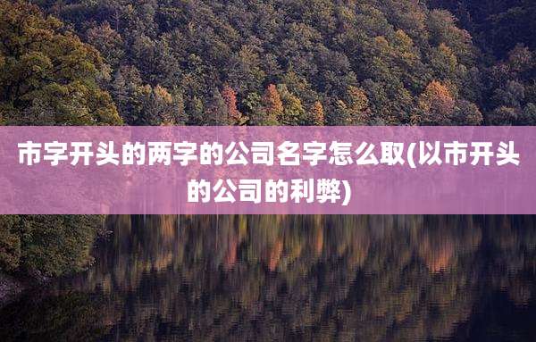 市字开头的两字的公司名字怎么取(以市开头的公司的利弊)