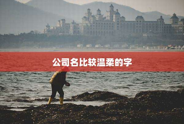 公司名比较温柔的字