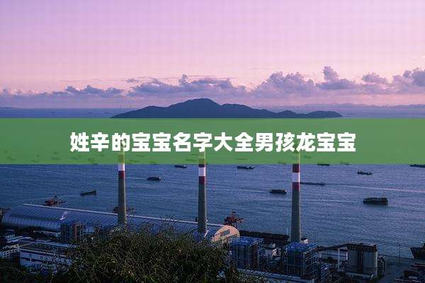 姓辛的宝宝名字大全男孩龙宝宝