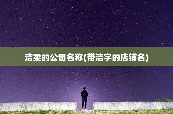 洁柔的公司名称(带洁字的店铺名)