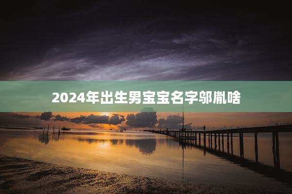 2024年出生男宝宝名字邬胤啥