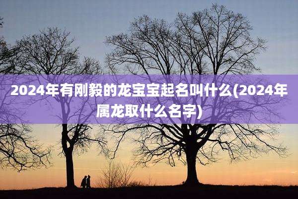 2024年有刚毅的龙宝宝起名叫什么(2024年属龙取什么名字)