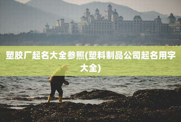 塑胶厂起名大全参照(塑料制品公司起名用字大全)