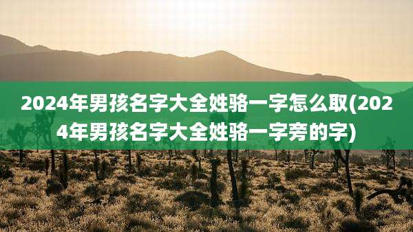 2024年男孩名字大全姓骆一字怎么取(2024年男孩名字大全姓骆一字旁的字)