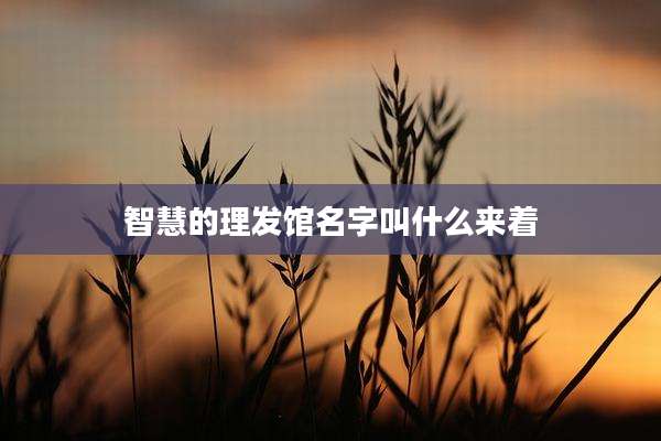 智慧的理发馆名字叫什么来着