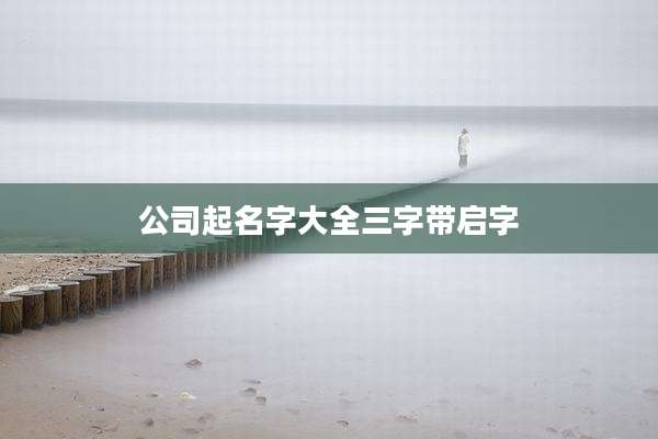 公司起名字大全三字带启字