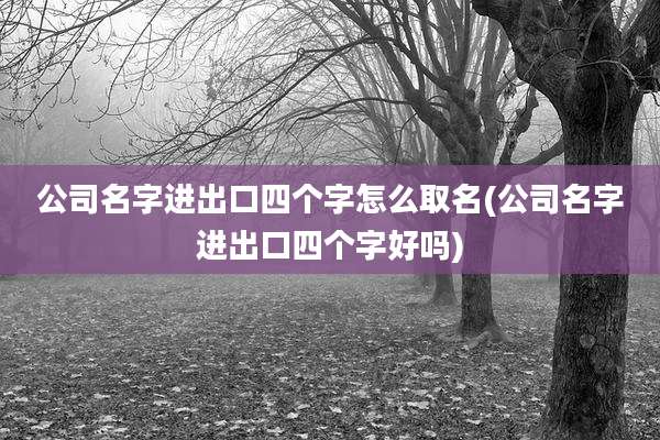 公司名字进出口四个字怎么取名(公司名字进出口四个字好吗)
