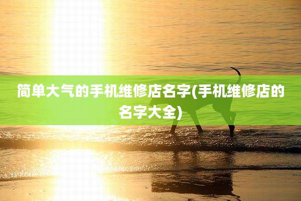 简单大气的手机维修店名字(手机维修店的名字大全)